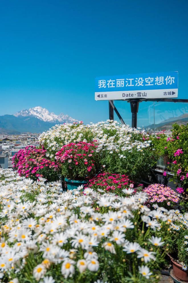 到丽江后竟拿屋顶来赚钱！【读本头条】重庆美女嫁(图1)
