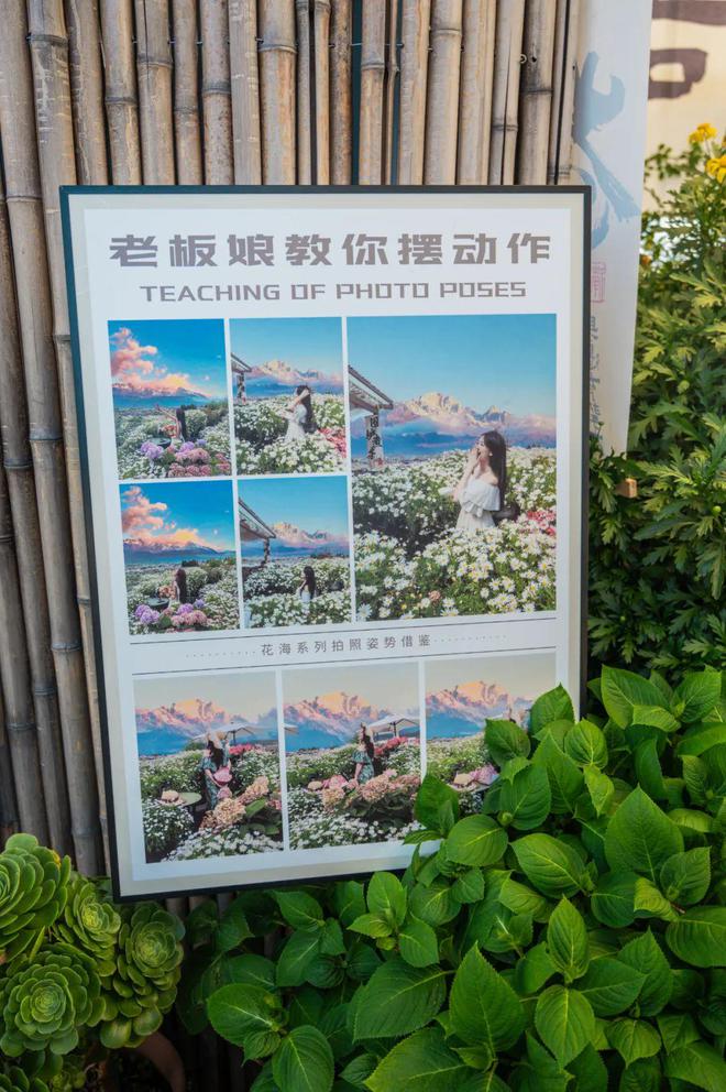 到丽江后竟拿屋顶来赚钱！【读本头条】重庆美女嫁(图23)